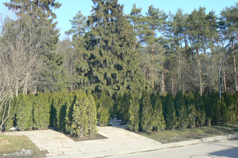 P1480904.JPG