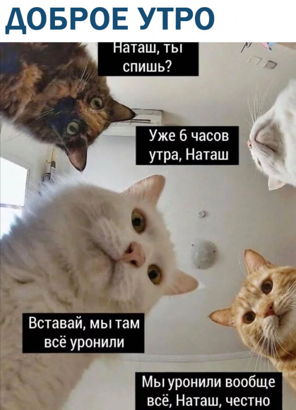 95RHReeoNA0.jpg
