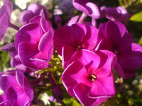 DSC03749.JPG
