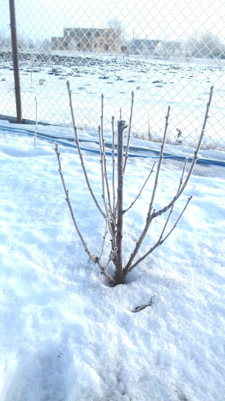 20200221_150259.jpg