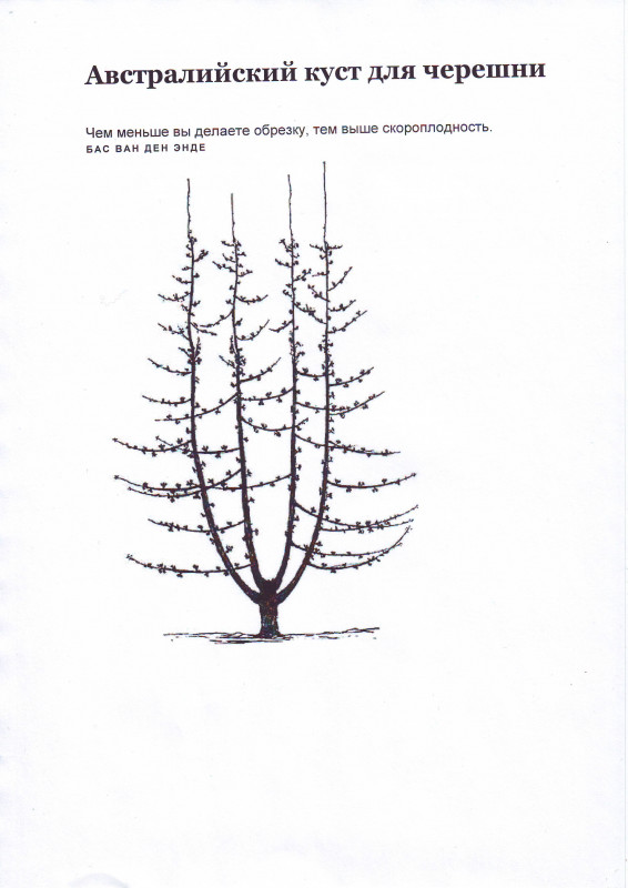 Image0001 (1).JPG