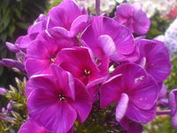 DSC03758.JPG
