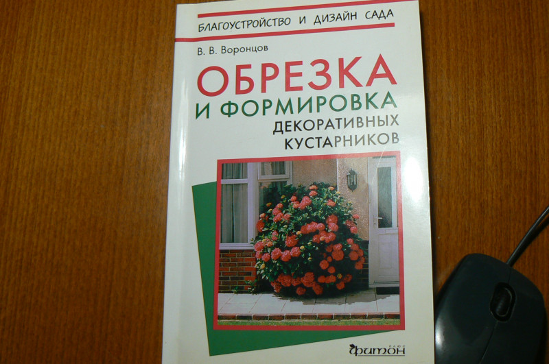 P1490482.JPG