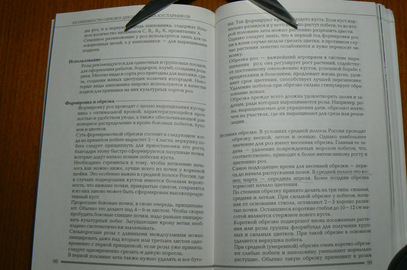 P1490483.JPG