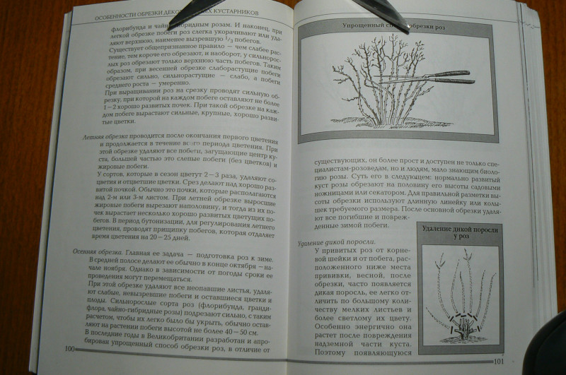P1490484.JPG