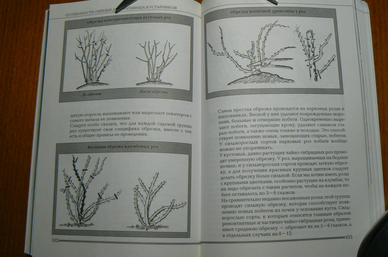 P1490485.JPG