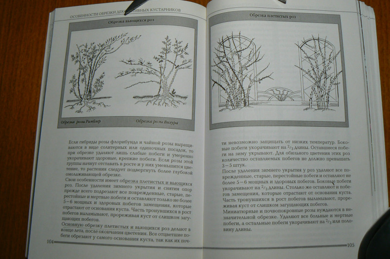 P1490486.JPG
