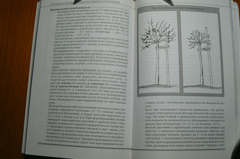 P1490487.JPG