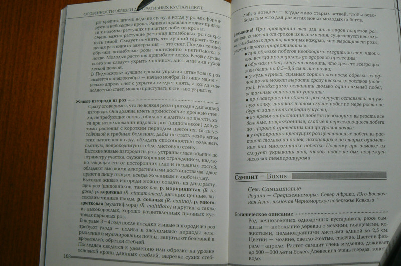 P1490488.JPG