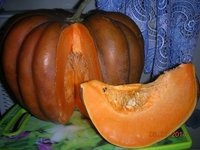 DSCN6605.JPG