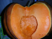 DSCN6610.JPG