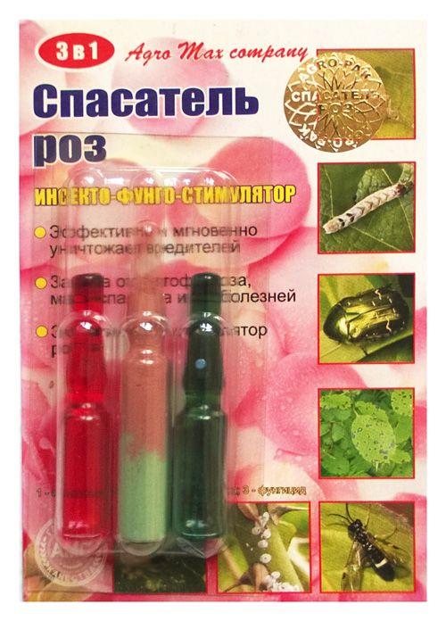 розы2.jpg