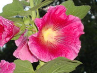 DSC00904.JPG