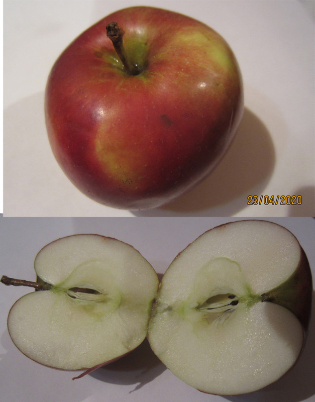 л.jpg