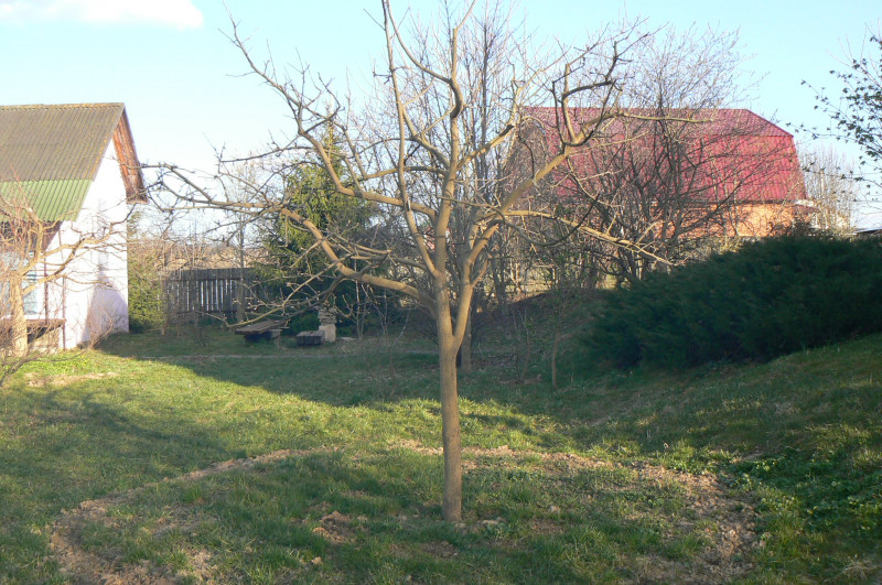 P1500040.JPG