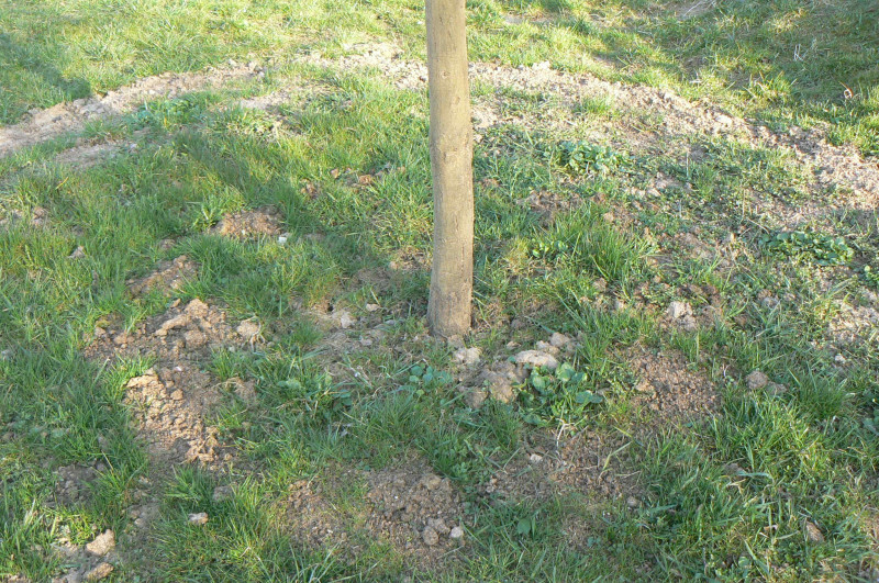 P1500041.JPG