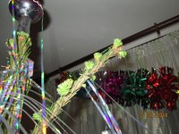 почки IMG_0589.JPG