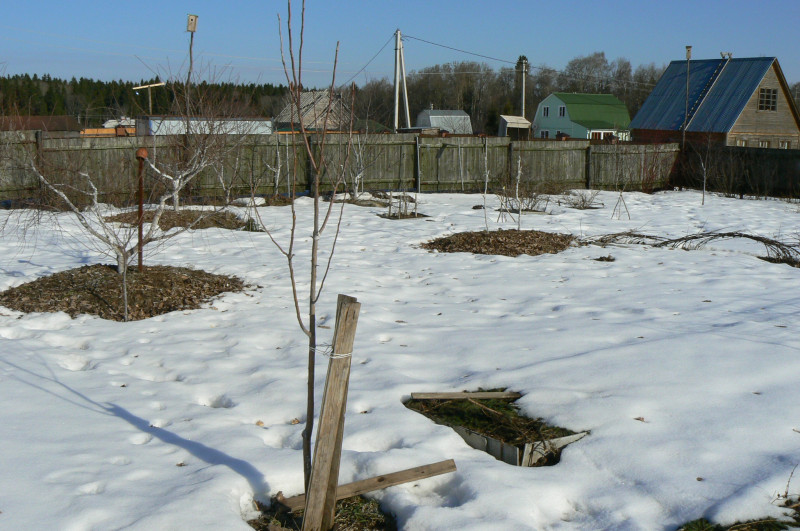 P1070060.JPG
