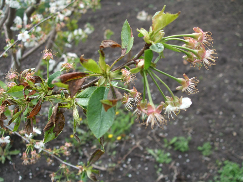 DSCF9188.JPG