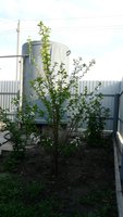 P1080260.JPG