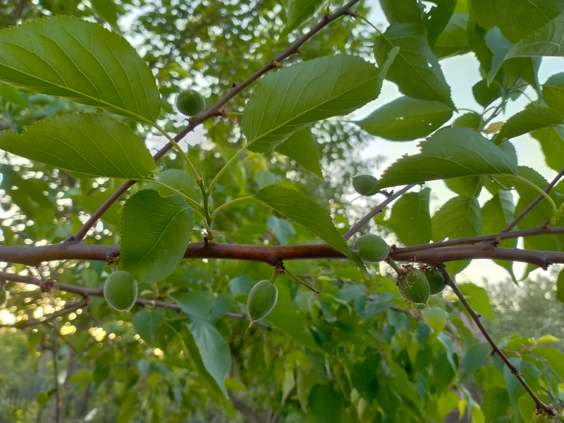 IMG20200514201718.jpg