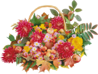 73455689_0_3eeb4_94361ff0_XL.png