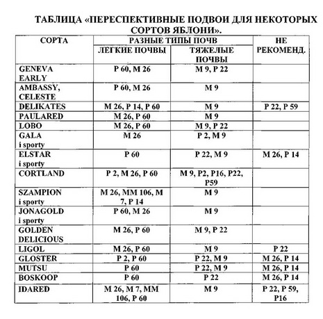 подвои.png