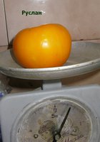 P1010630.JPG