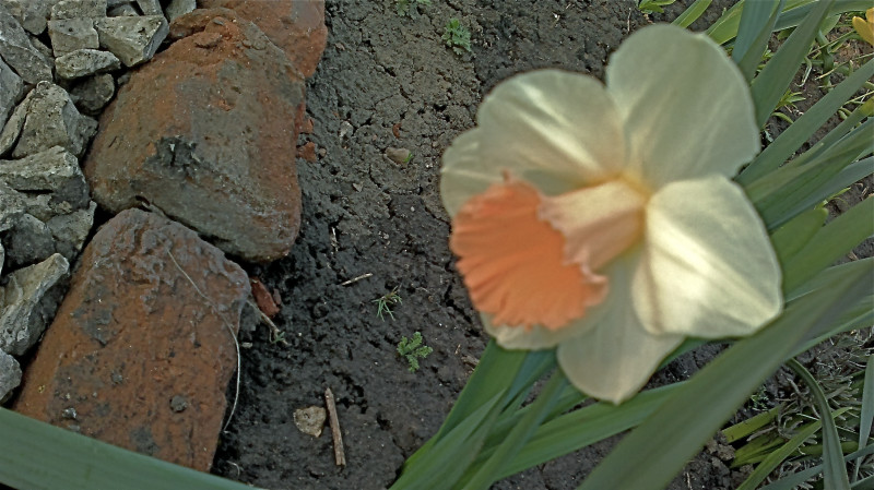 02052011310.jpg