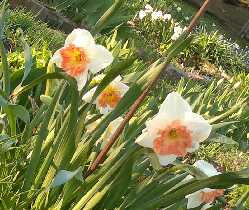 080520131515.jpg