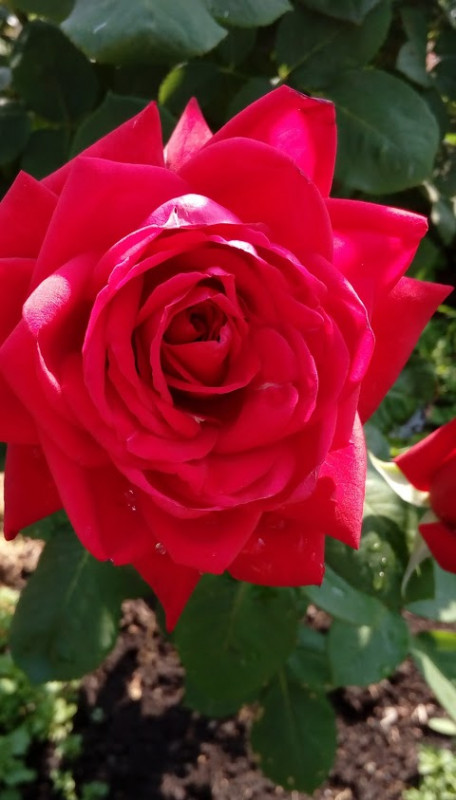 IMAG0414.jpg