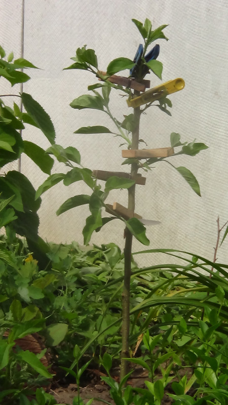 DSC02425.JPG