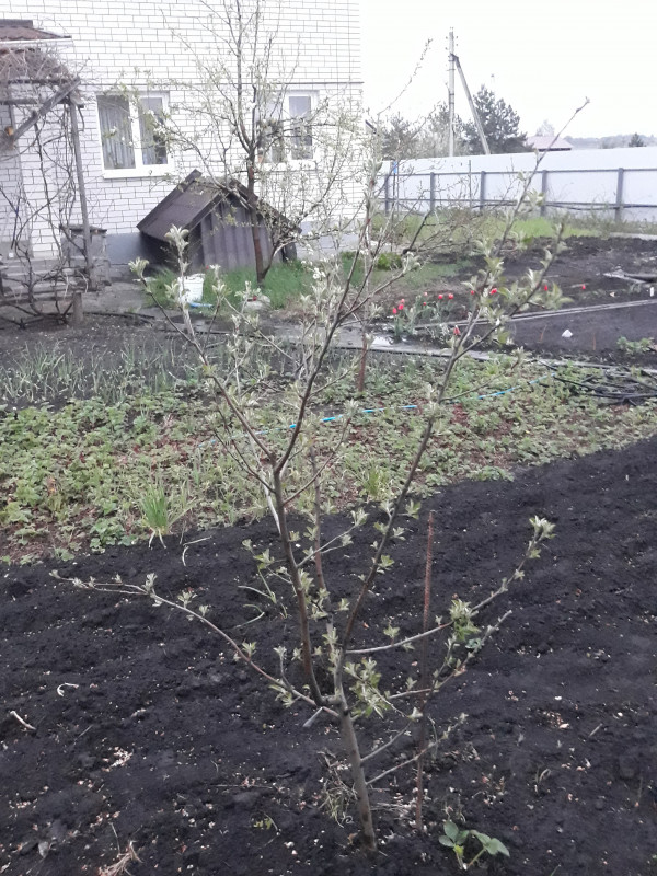 20190501_193351.jpg