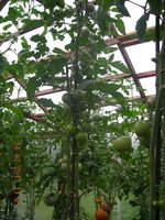 интуиция (макушки).jpg