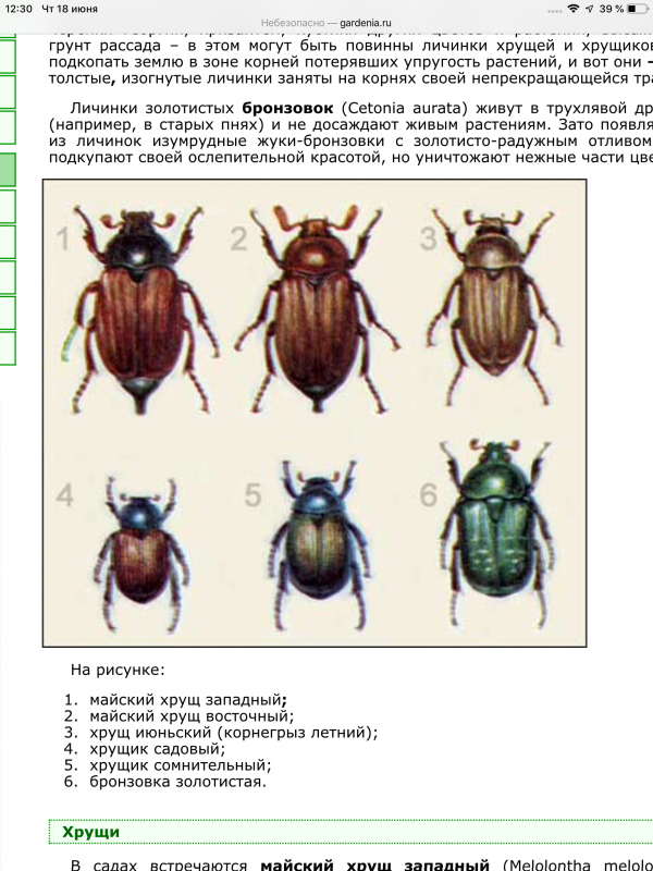 FBB1C3CA-02E0-418C-9FBB-CAC95D6D44F7.png