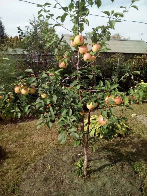 БЗ-2019-09_2.jpg