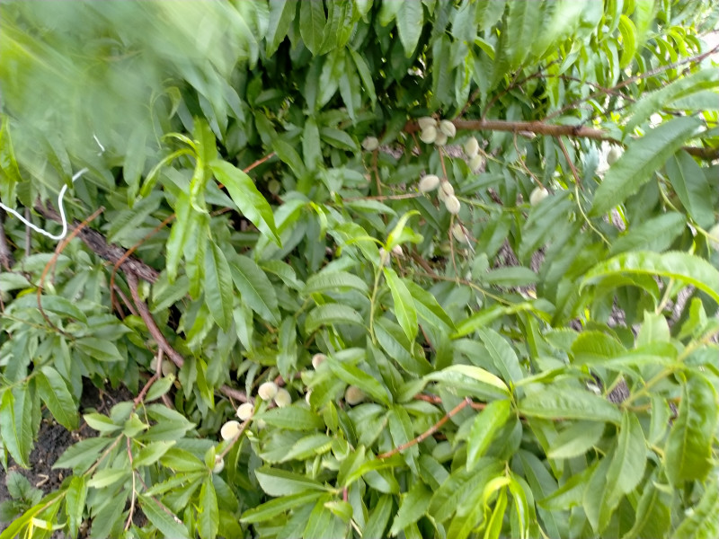IMG20200625193356.jpg