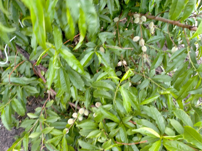 IMG20200625193402.jpg