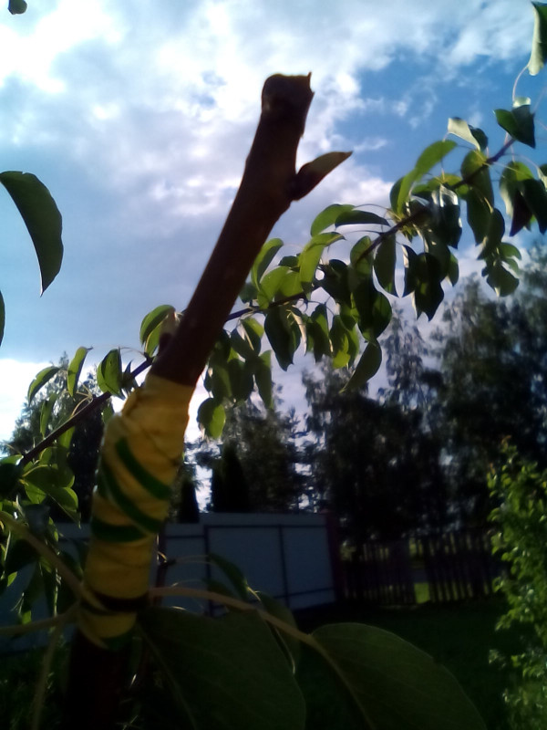 IMG_20200628_185652.jpg