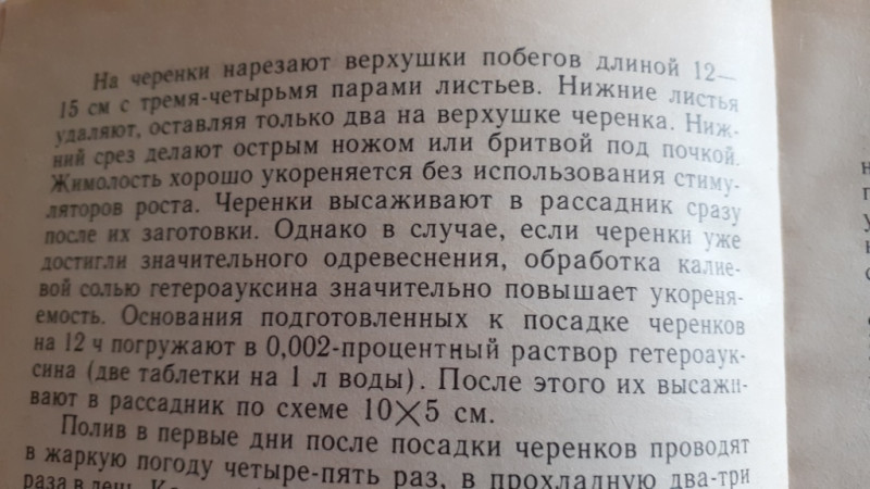 20200702_191421.jpg