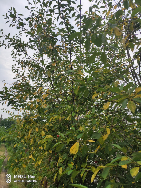 P00705-172831.jpg