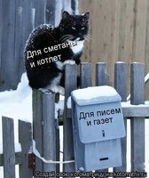 biсметаны и котлет g для .jpeg