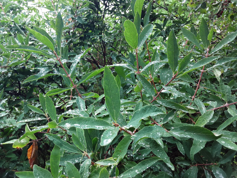 20200709_082056.jpg