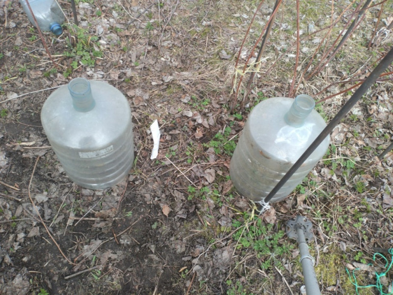 IMG_20200407_133754.jpg