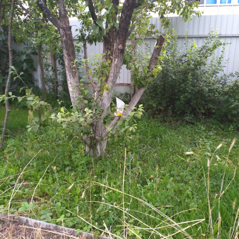 IMG_20200721_201348.jpg