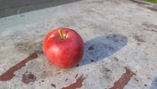 8EBA59DF-BC47-4138-9F47-E2A8F0A81AB5.jpeg