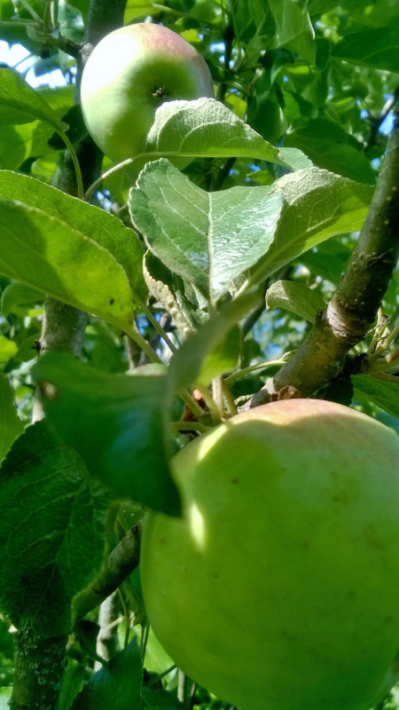 WP_20200730_17_27_27_Pro.jpg