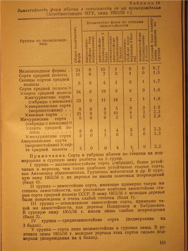 Подмерзание.jpg