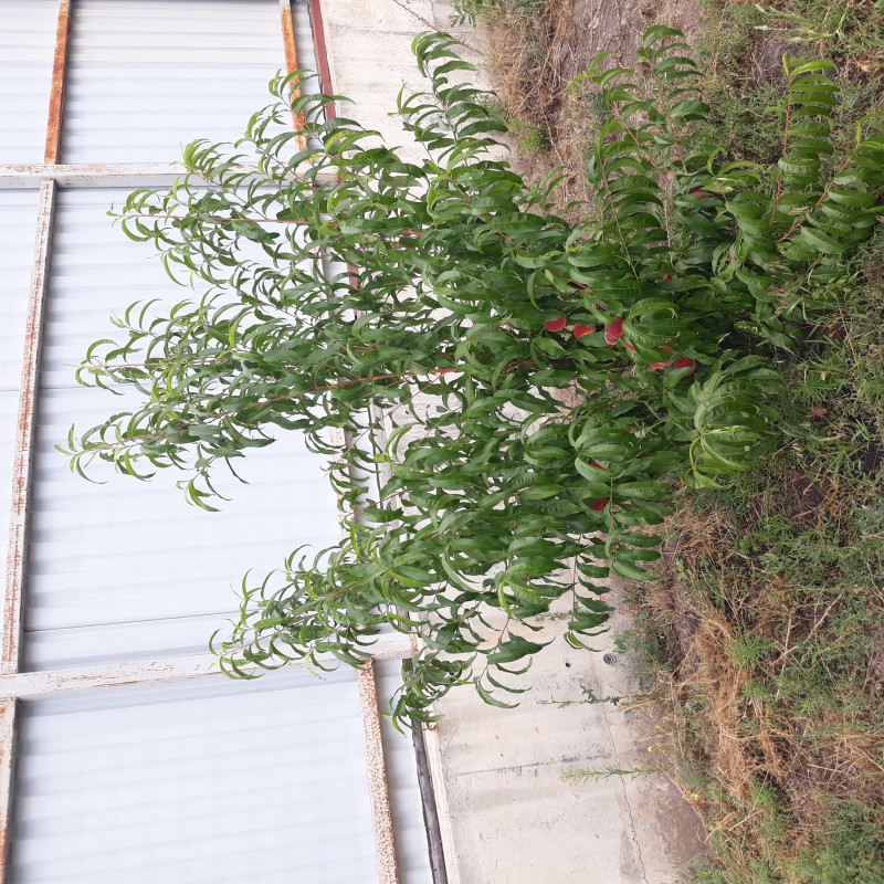 20200802_124325.jpg