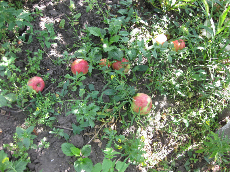 IMG_9477.JPG